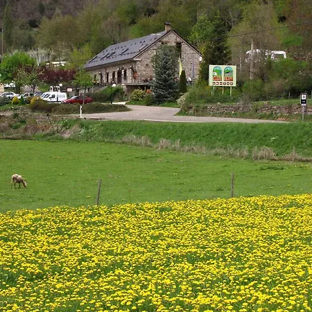 Hotel, Bungalows Y Camping Viu